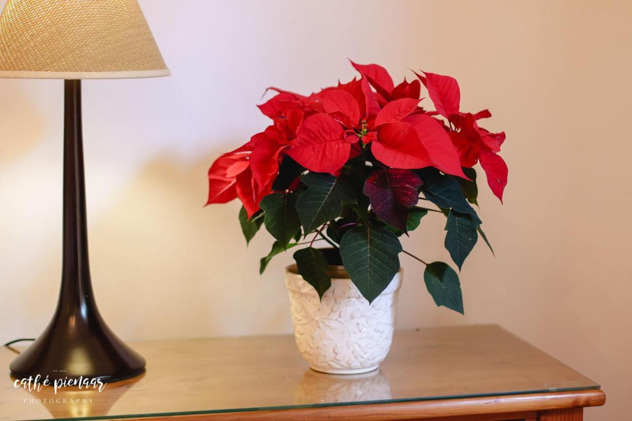 A Tuscan Villa Guest House Fish Hoek Bagian luar foto